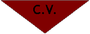 Organigramme&nbsp;: Fusion:   C.V.