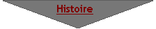Organigramme&nbsp;: Fusion:     Histoire