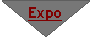 Organigramme&nbsp;: Fusion: Expo
