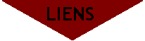 Organigramme&nbsp;: Fusion:  LIENS