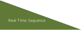 Triangle rectangle: Real Time Sequence